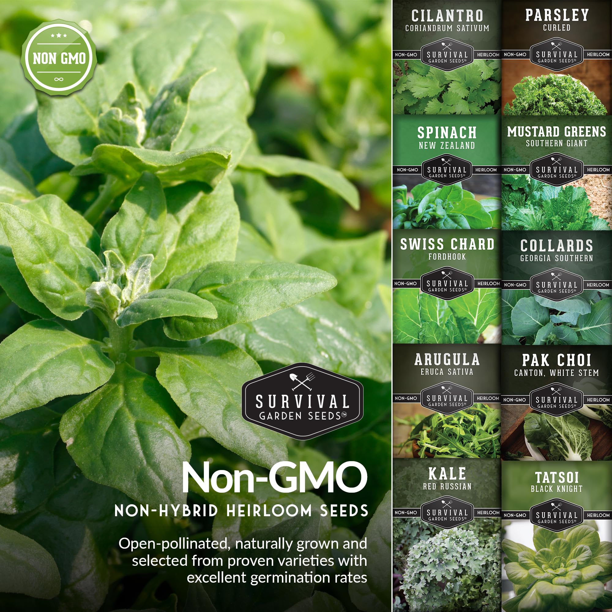 SURVIVAL GARDEN SEEDS harvest-ready greens in a crisp salad bowl.