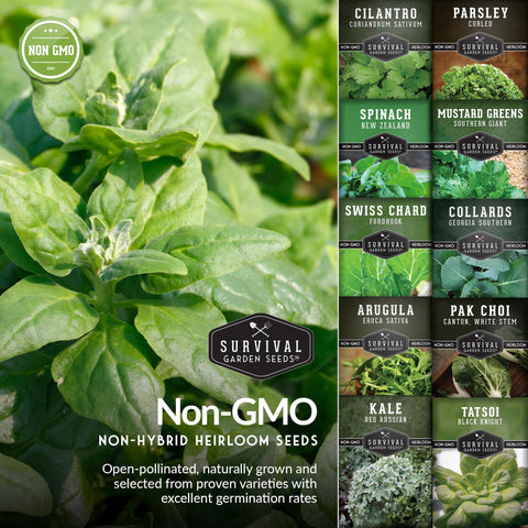SURVIVAL GARDEN SEEDS harvest-ready greens in a crisp salad bowl.