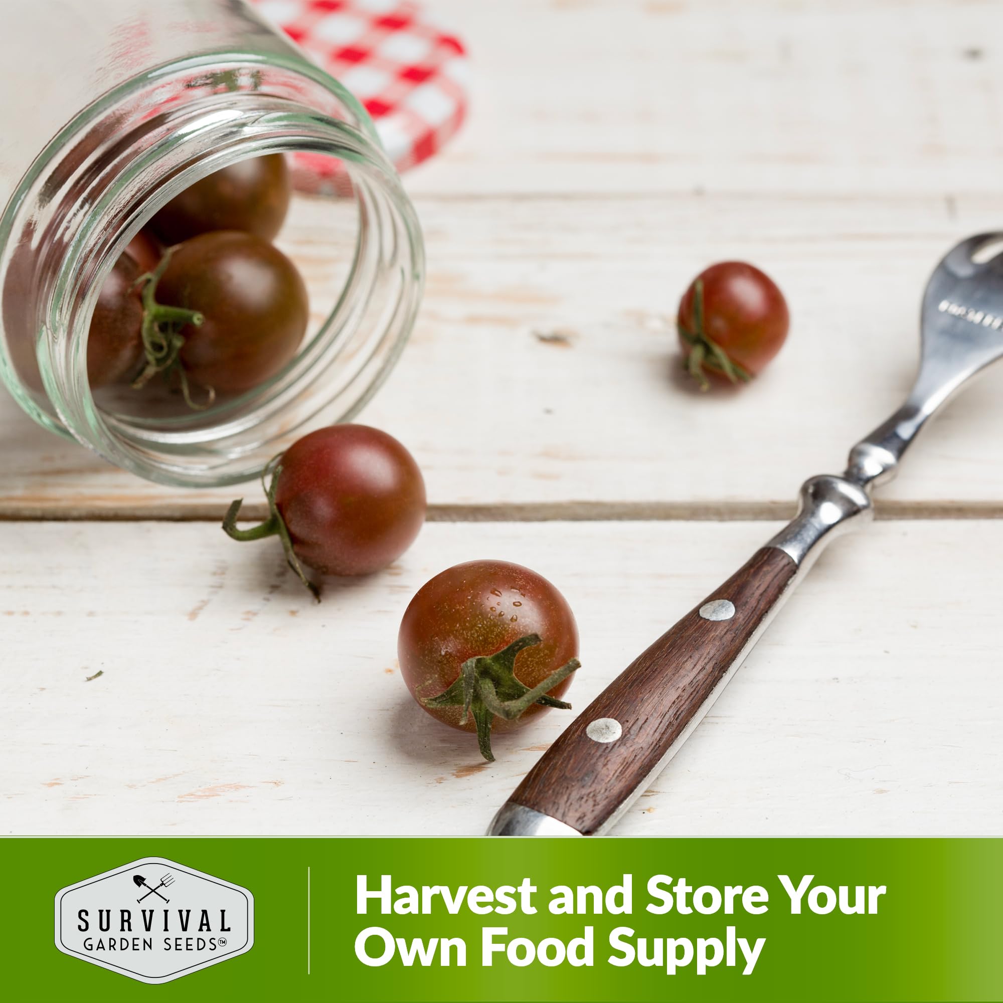 Survival Garden Seeds harvested black cherry tomatoes ready to eat.