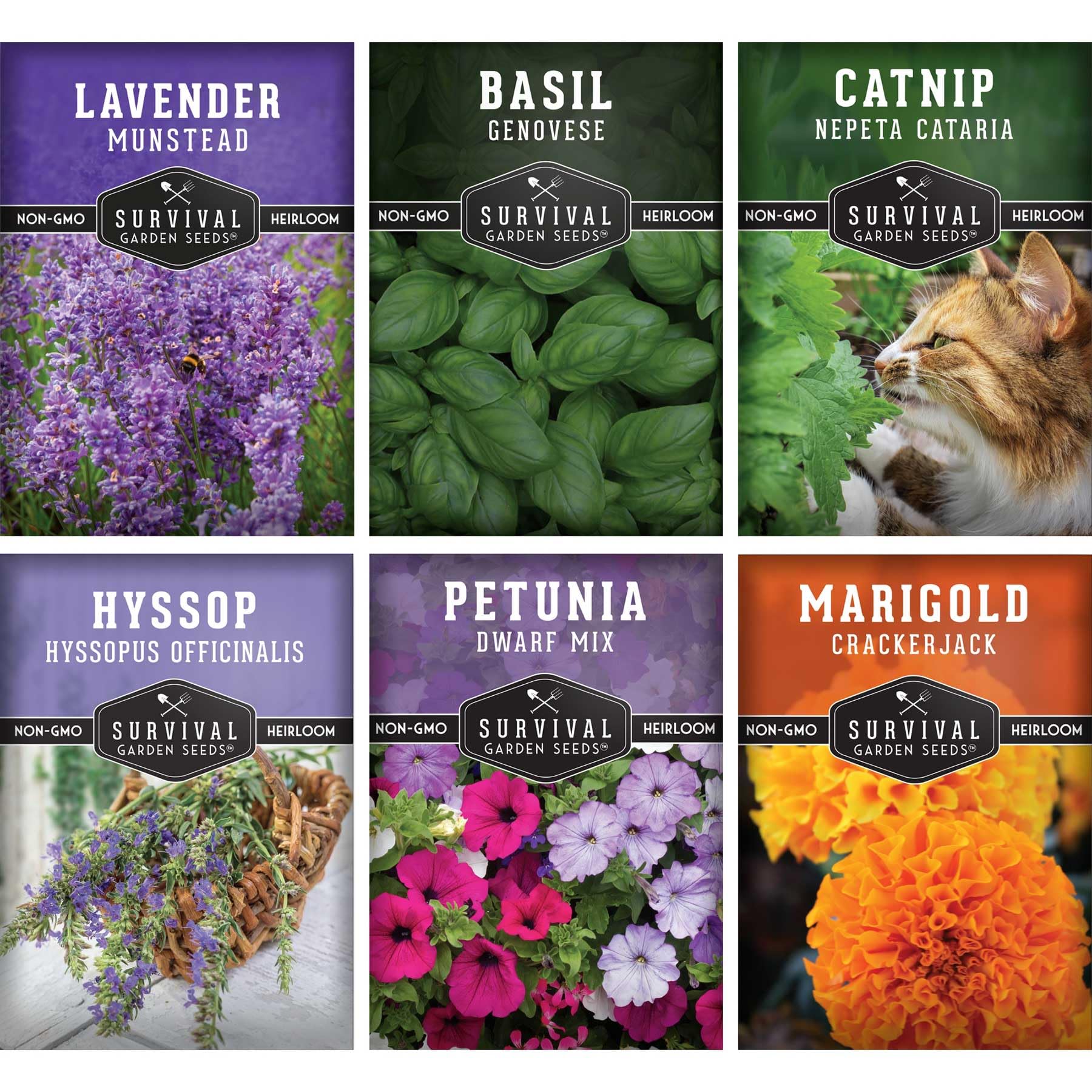 SURVIVAL GARDEN SEEDS heirloom lavender seeds for fragrant borders and pollinator-friendly gardens.
