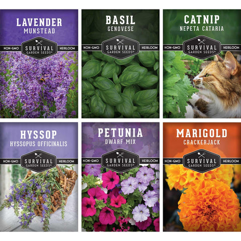 SURVIVAL GARDEN SEEDS heirloom lavender seeds for fragrant borders and pollinator-friendly gardens.