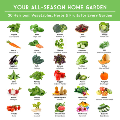 Survival Garden Seeds heirloom open-pollinated packets highlighting heritage varieties for replanting.