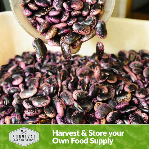 Open-pollinated non-GMO heirloom seeds from SURVIVAL GARDEN SEEDS