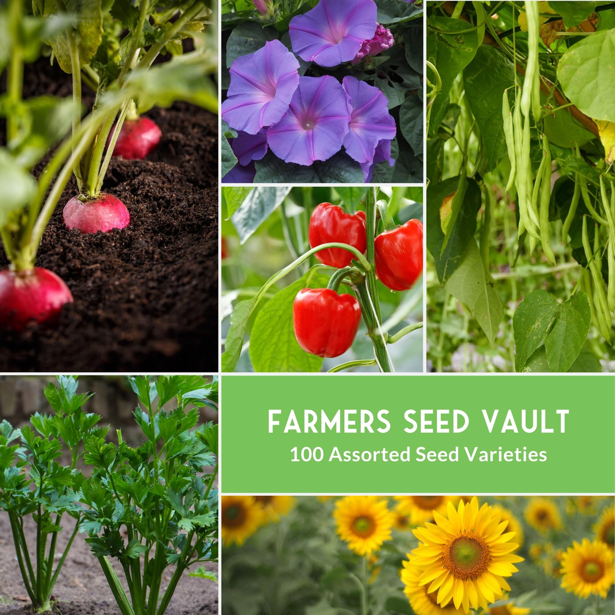 Survival Garden Seeds heirloom-varieties packet mix ideal for diverse seasons.