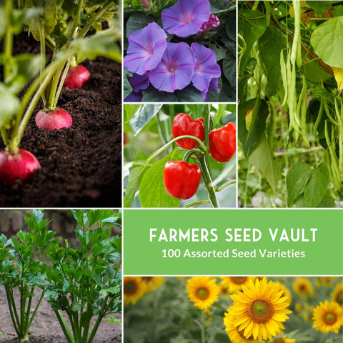 Survival Garden Seeds heirloom-varieties packet mix ideal for diverse seasons.