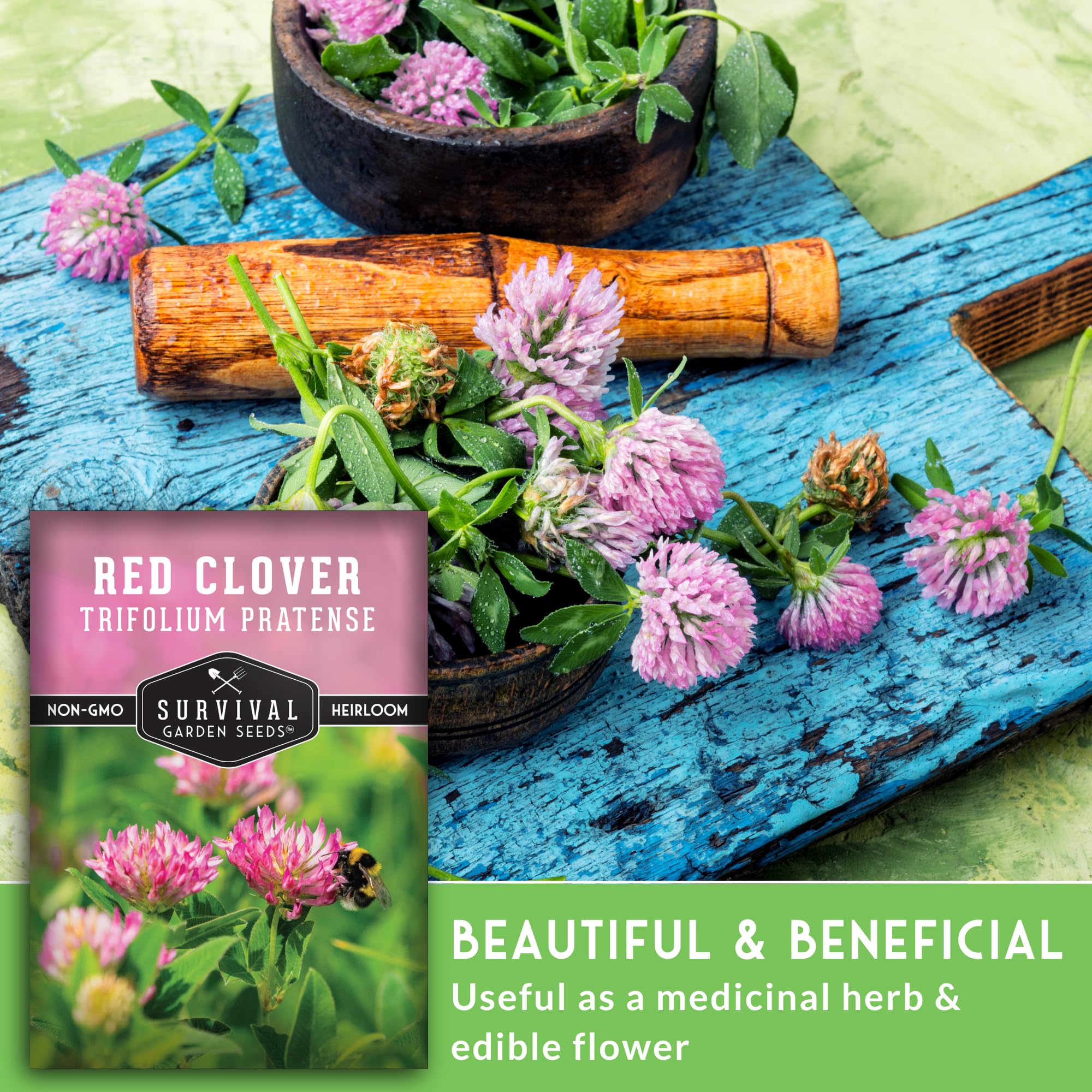 Heritage red clover seeds from Survival Garden Seeds—heirloom, non-GMO.