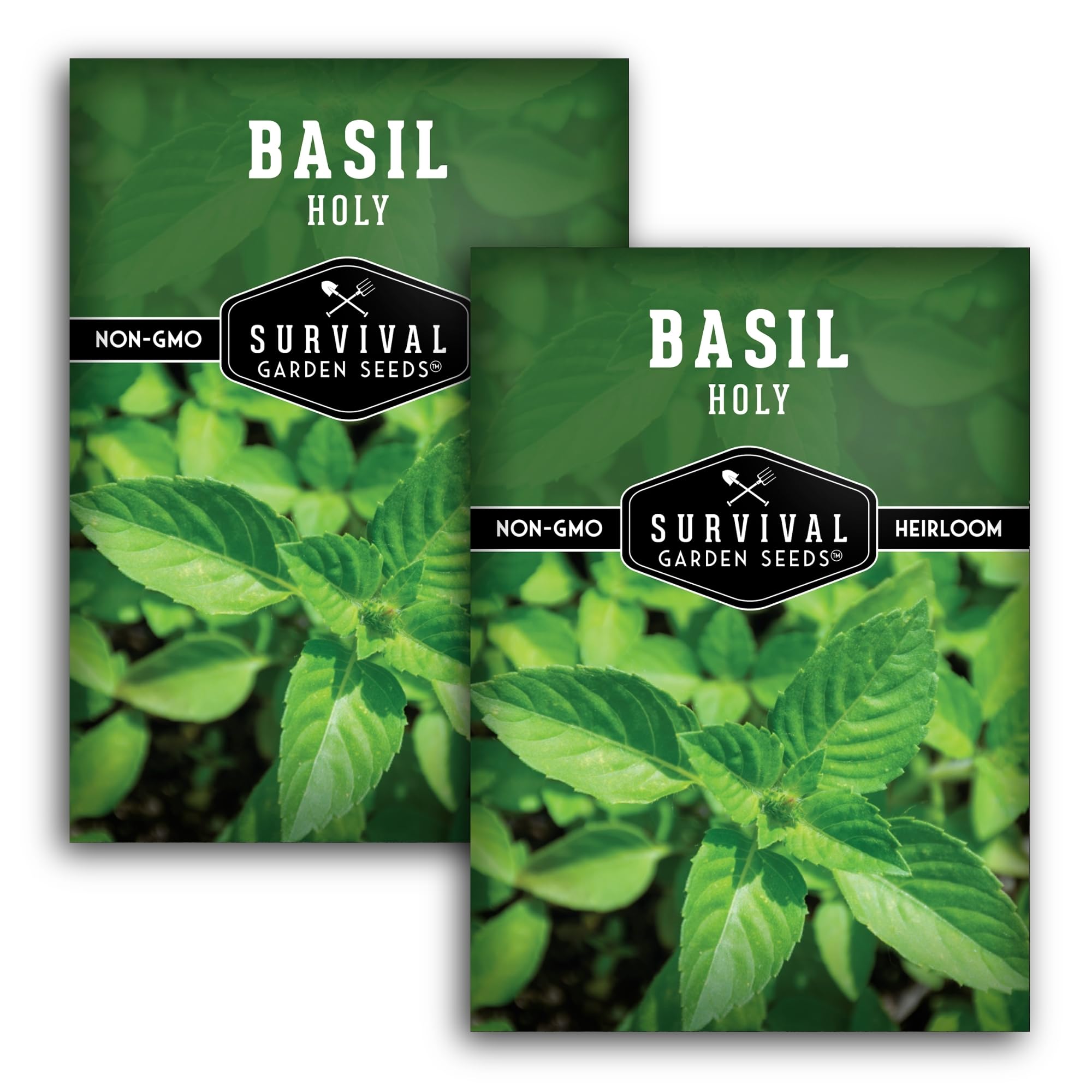 SURVIVAL GARDEN SEEDS Holy Basil seed pack front view for home gardening enthusiasts