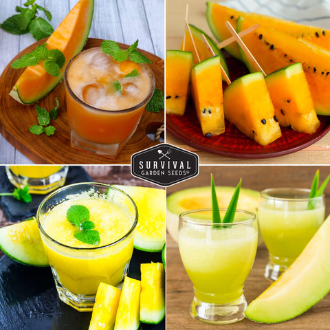 SURVIVAL GARDEN SEEDS Honeydew melon photo emphasizing refreshing flesh