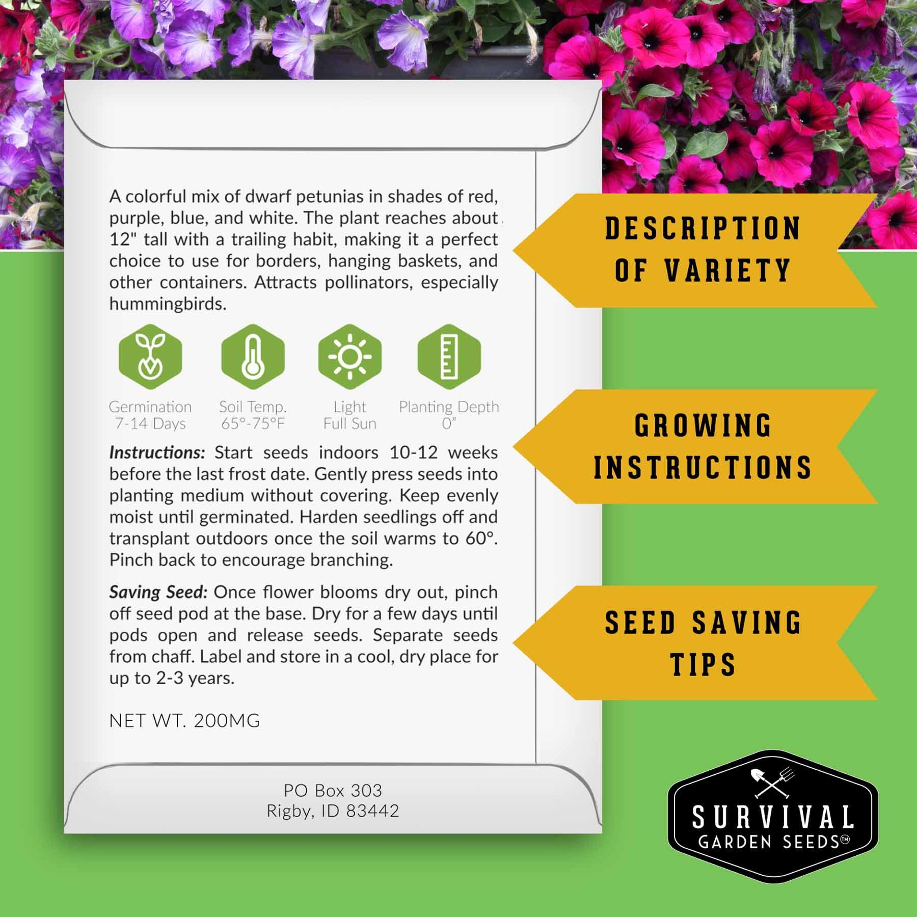 SURVIVAL GARDEN SEEDS hyssop seeds for aromatic herb beds and pest-deterring borders.