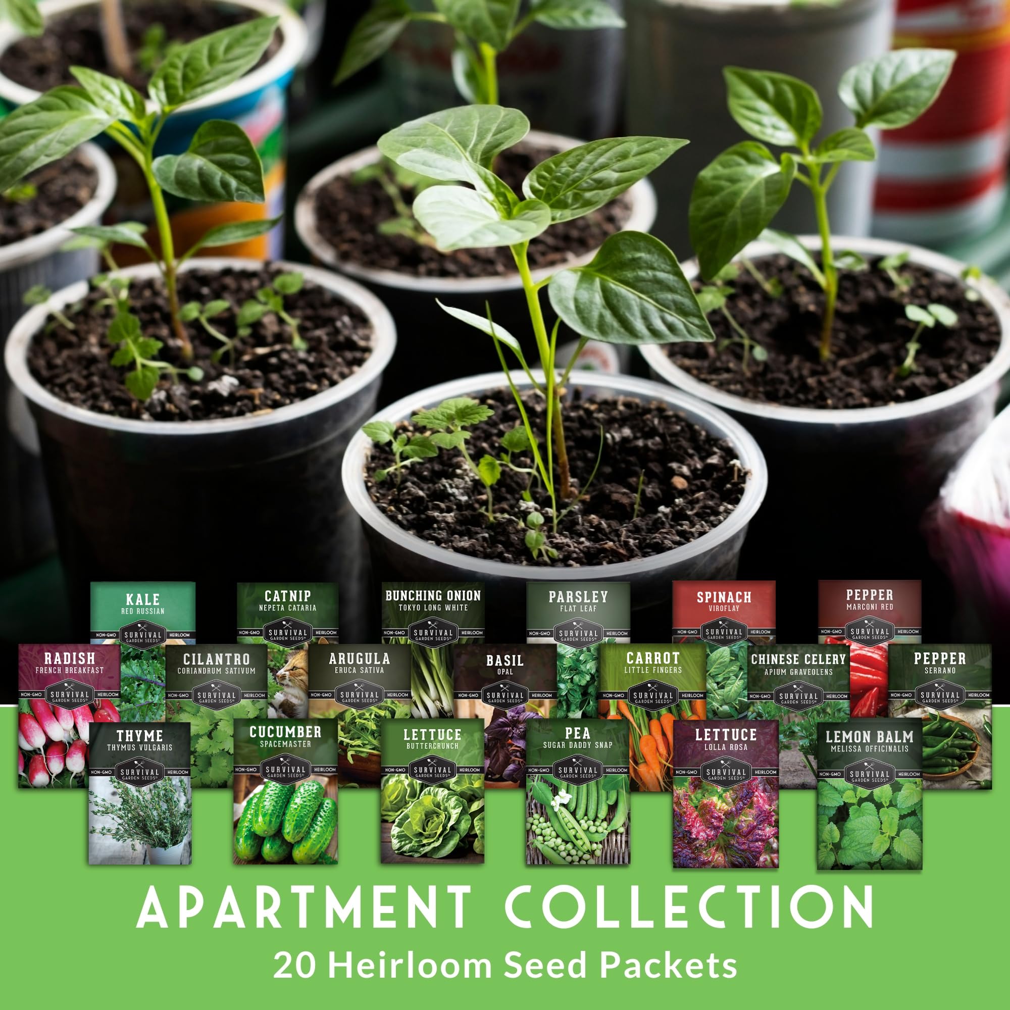 SURVIVAL GARDEN SEEDS indoor garden ready image highlighting year-round herbs and greens.