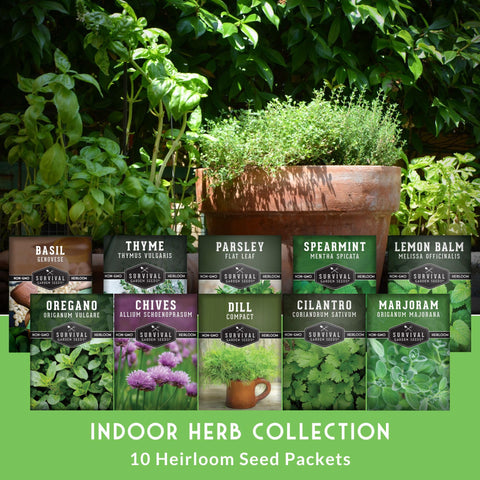 Survival Garden Seeds flat-leaf parsley sprigs boost garnish and brightness