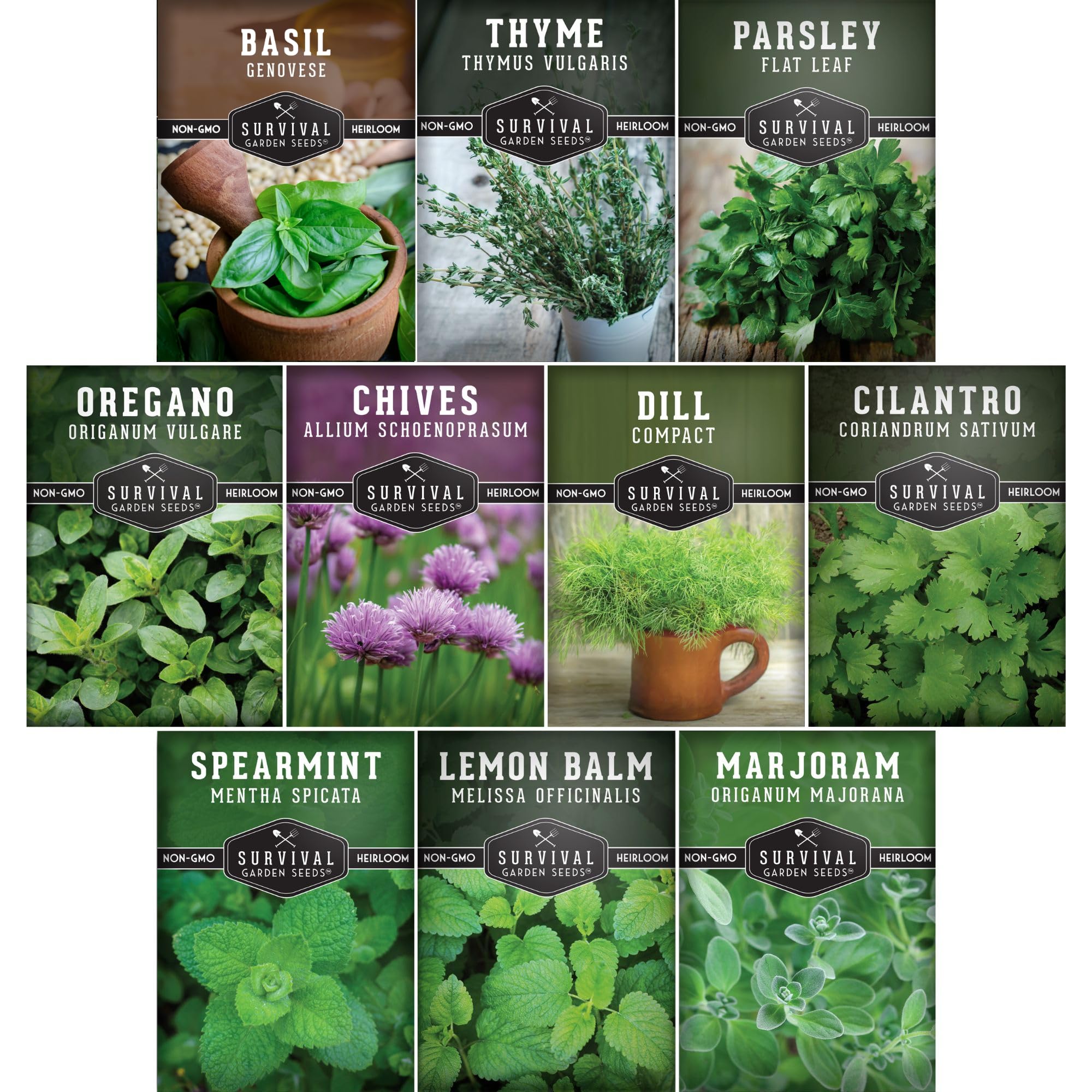 Survival Garden Seeds Genovese basil leaves for fresh caprese and aromatics