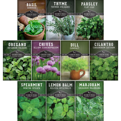 Survival Garden Seeds Genovese basil leaves for fresh caprese and aromatics