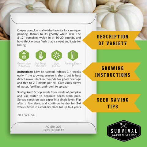 Survival Garden Seeds jack o lantern pumpkin seeds ready for carving projects.