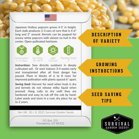 Survival Garden Seeds Japanese Hulless popcorn ear close up hull free popping potential