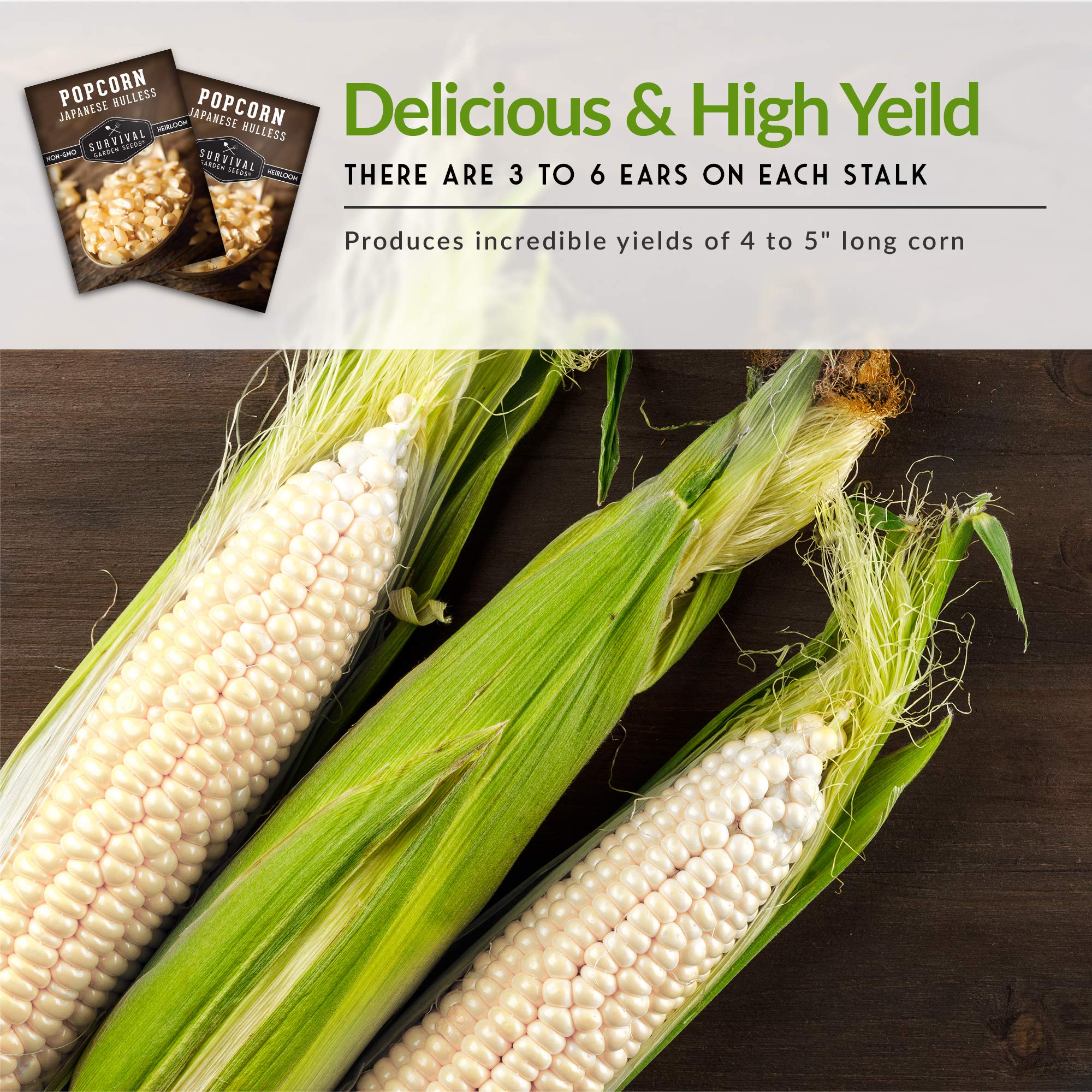 Survival Garden Seeds Hulless popcorn kernels pop to snowy white.