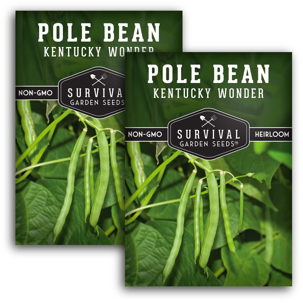 SURVIVAL GARDEN SEEDS Kentucky Wonder pole bean seeds in a packet, ideal for home garden planting.
