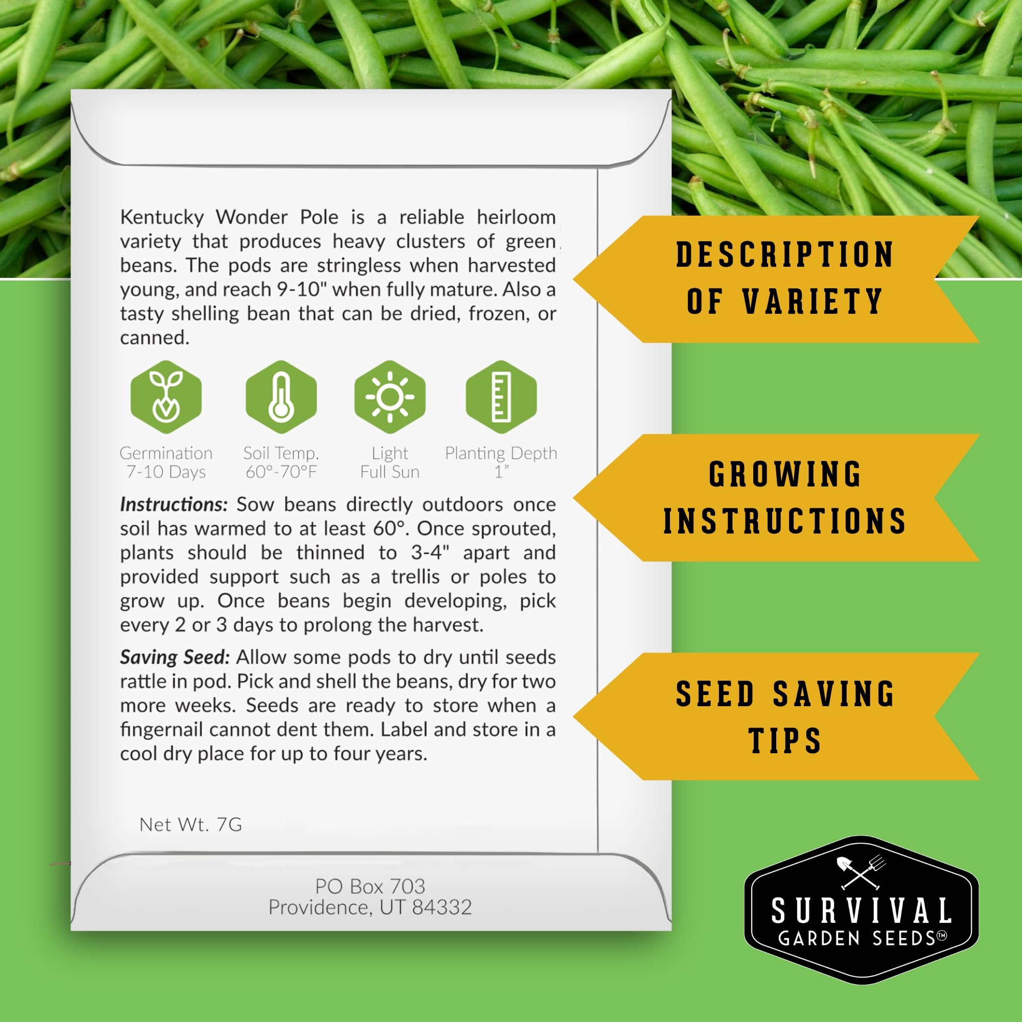 SURVIVAL GARDEN SEEDS Kentucky Wonder pole beans seeds spread on table, plan your garden.