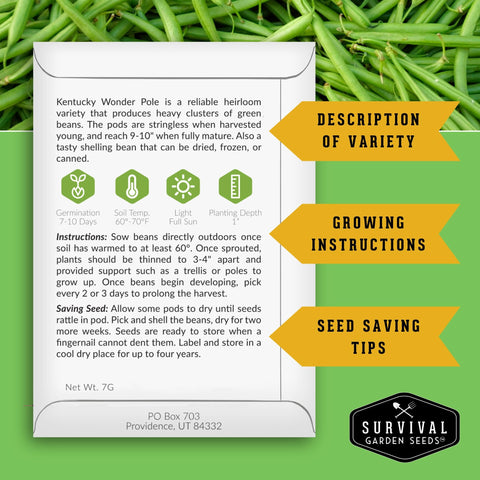 SURVIVAL GARDEN SEEDS Kentucky Wonder pole beans seeds spread on table, plan your garden.
