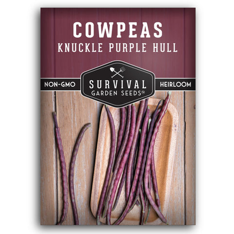 Survival Garden Seeds Knuckle Purple Hull pea pods ready for shelling and meals