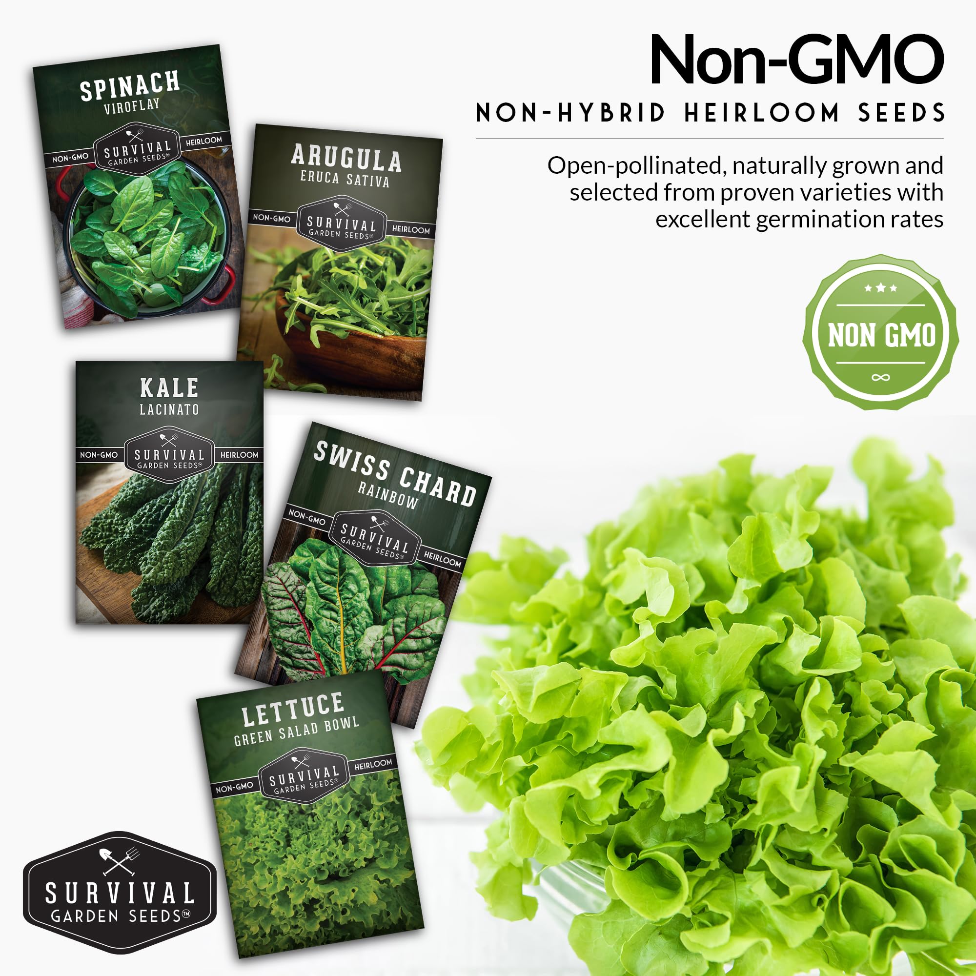 SURVIVAL GARDEN SEEDS Lacinato kale seeds for sturdy, nutrient-dense leaves.
