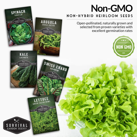 SURVIVAL GARDEN SEEDS Lacinato kale seeds for sturdy, nutrient-dense leaves.