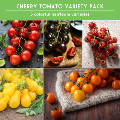 SURVIVAL GARDEN SEEDS Large Red tomato seeds yield juicy fruits for meals.