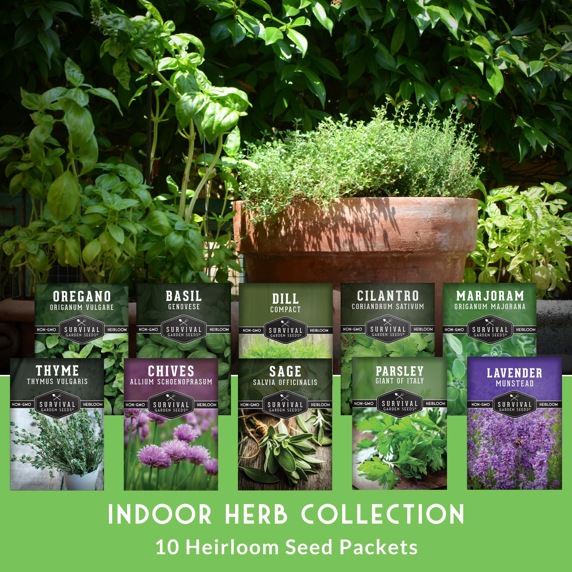 Survival Garden Seeds lavender flowers close-up, adds fragrance to desserts and sachets.