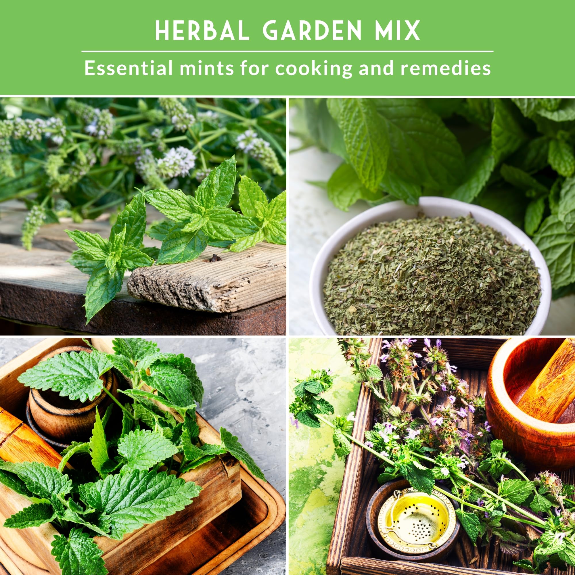 SURVIVAL GARDEN SEEDS lemon balm seed packet perfect for calming teas and bright desserts.