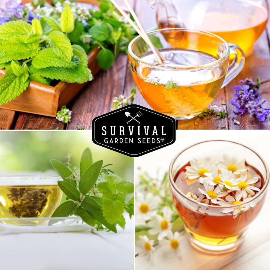 Survival Garden Seeds lemon balm seeds for citrusy tea and bright aromas.