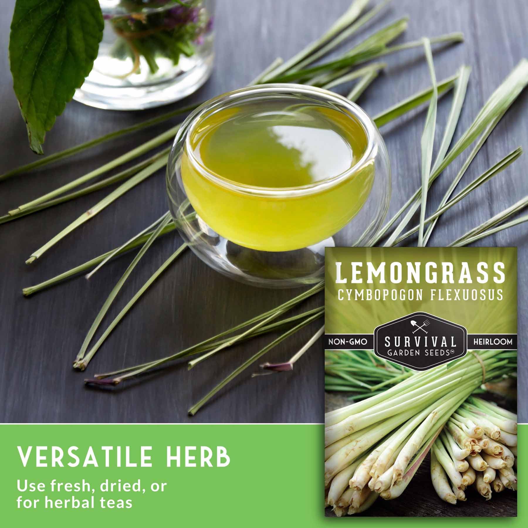 SURVIVAL GARDEN SEEDS lemongrass lemon-scent stalk in planter for fresh herb use.