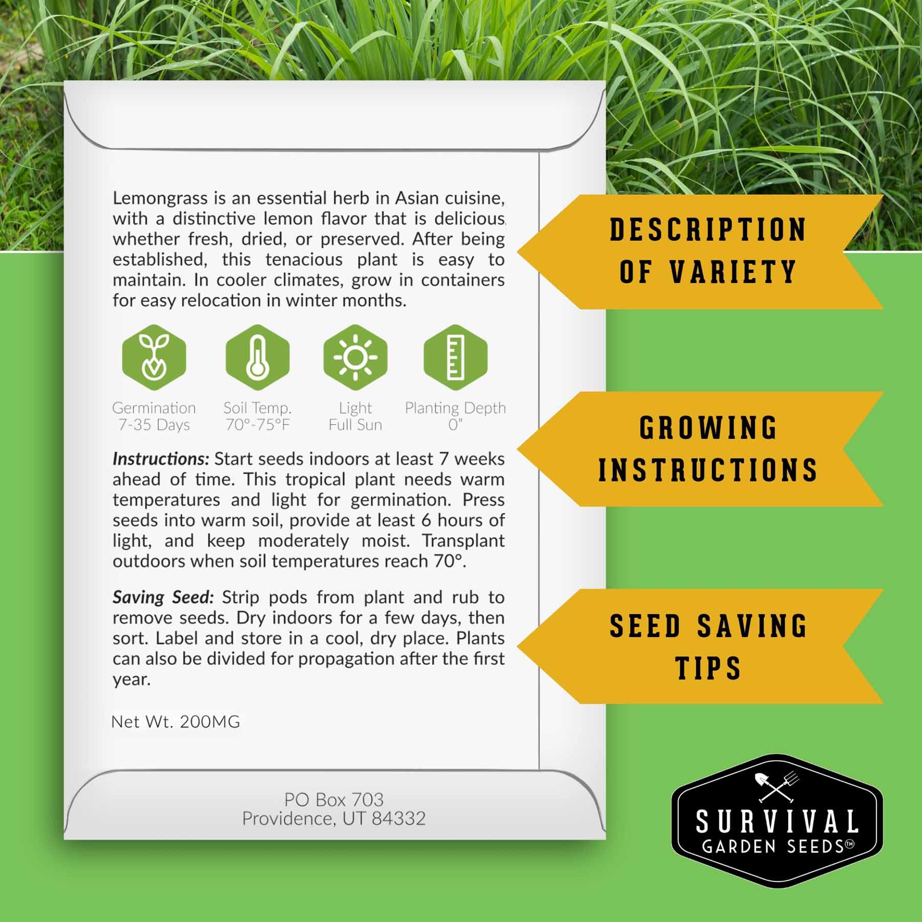 SURVIVAL GARDEN SEEDS lemongrass seeds closeup highlighting high viability and open pollinated lineage.