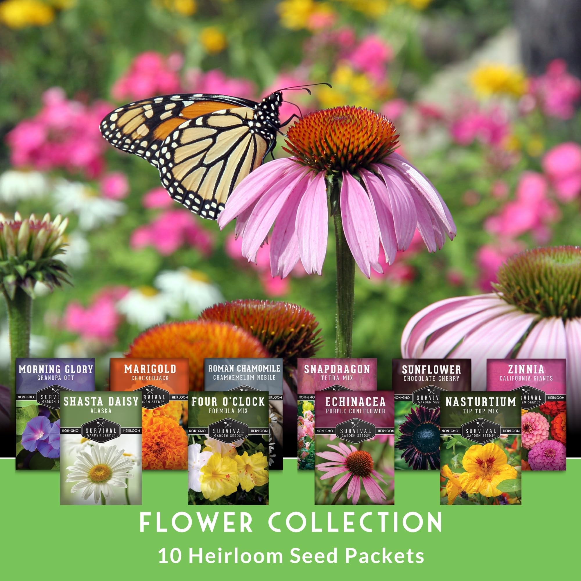 Survival Garden Seeds Marigold seeds add warm color with easy care for beginners