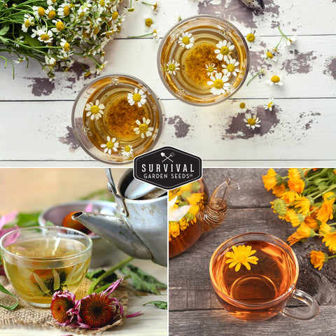 Survival Garden Seeds marigold seeds for edible petals and pollinator-friendly beds.
