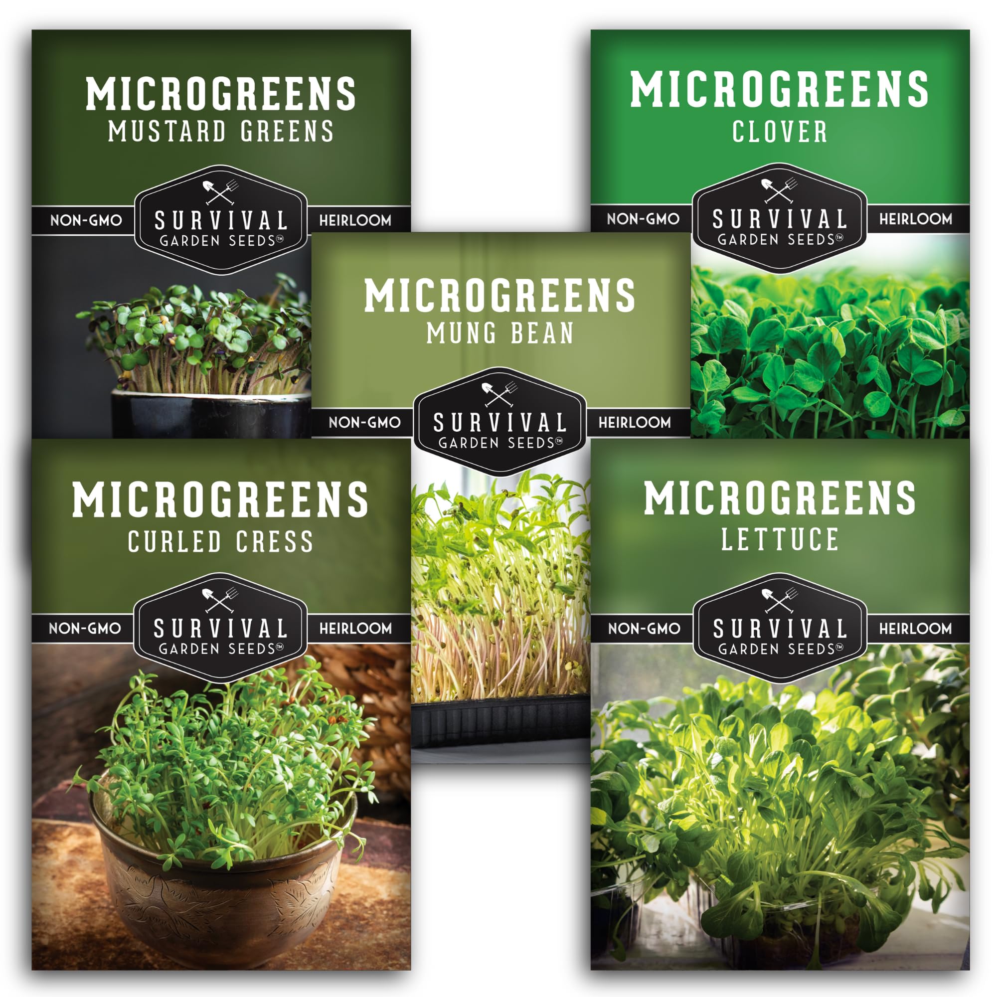 SURVIVAL GARDEN SEEDS presents a 5-variety microgreens pack for indoor harvest.