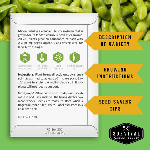 SURVIVAL GARDEN SEEDS Midori Giant soybean plants reach 20-24 inches tall in ideal conditions.