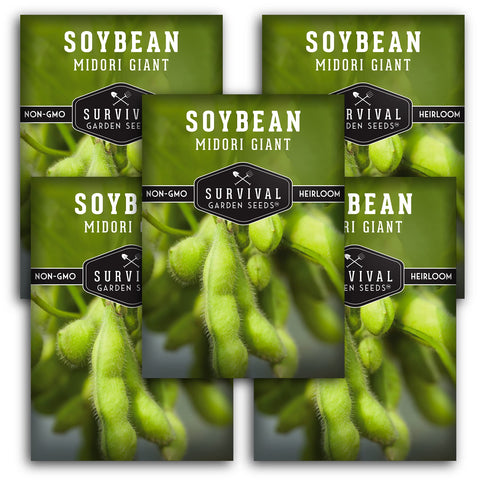 SURVIVAL GARDEN SEEDS Midori Giant soybean seed packet ready for planting in your garden.