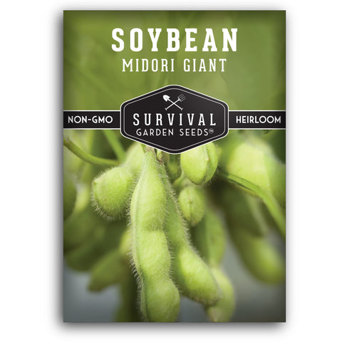 SURVIVAL GARDEN SEEDS Midori Giant soybean seeds pack for easy home gardening