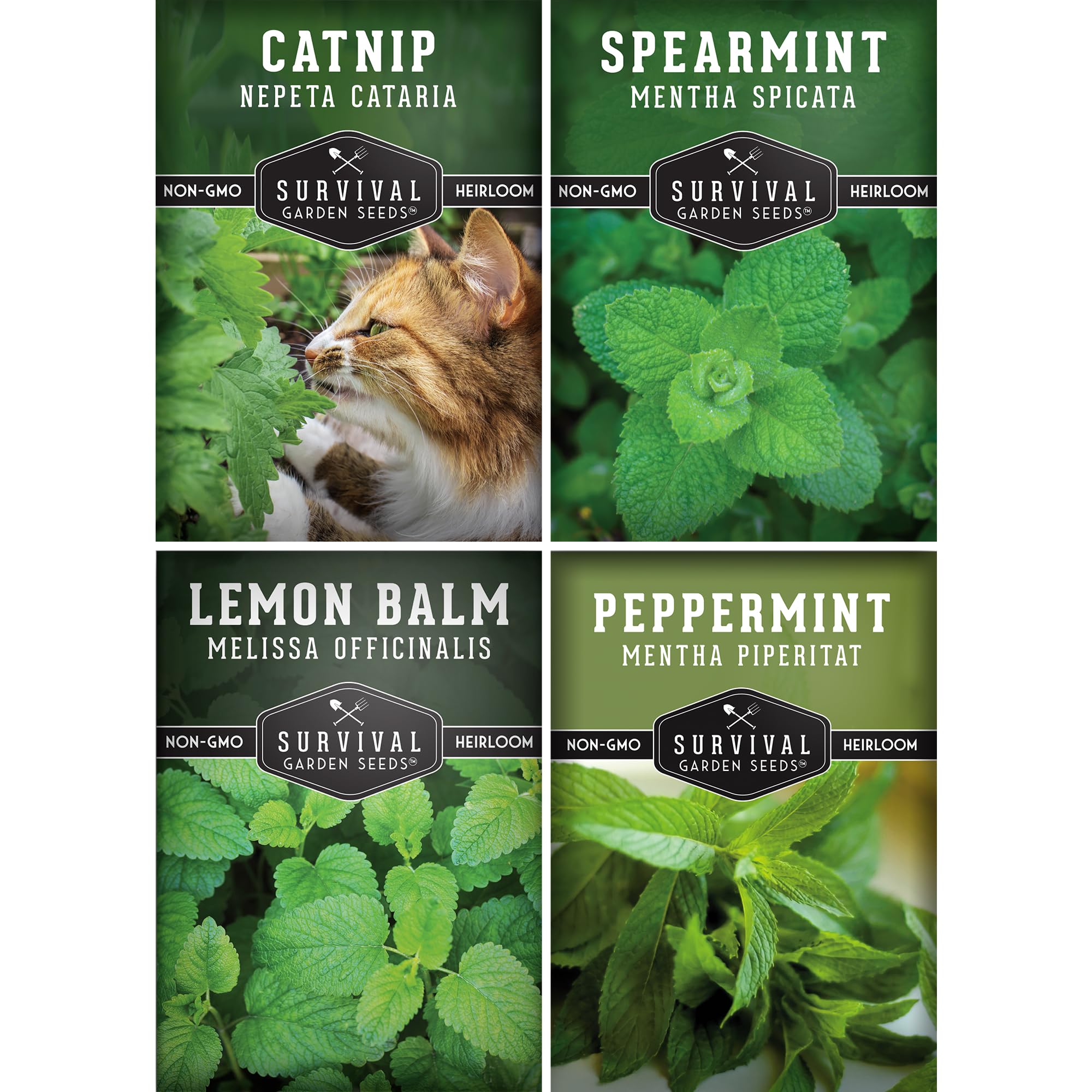 SURVIVAL GARDEN SEEDS mint collection pack ready for versatile indoor and outdoor growing.