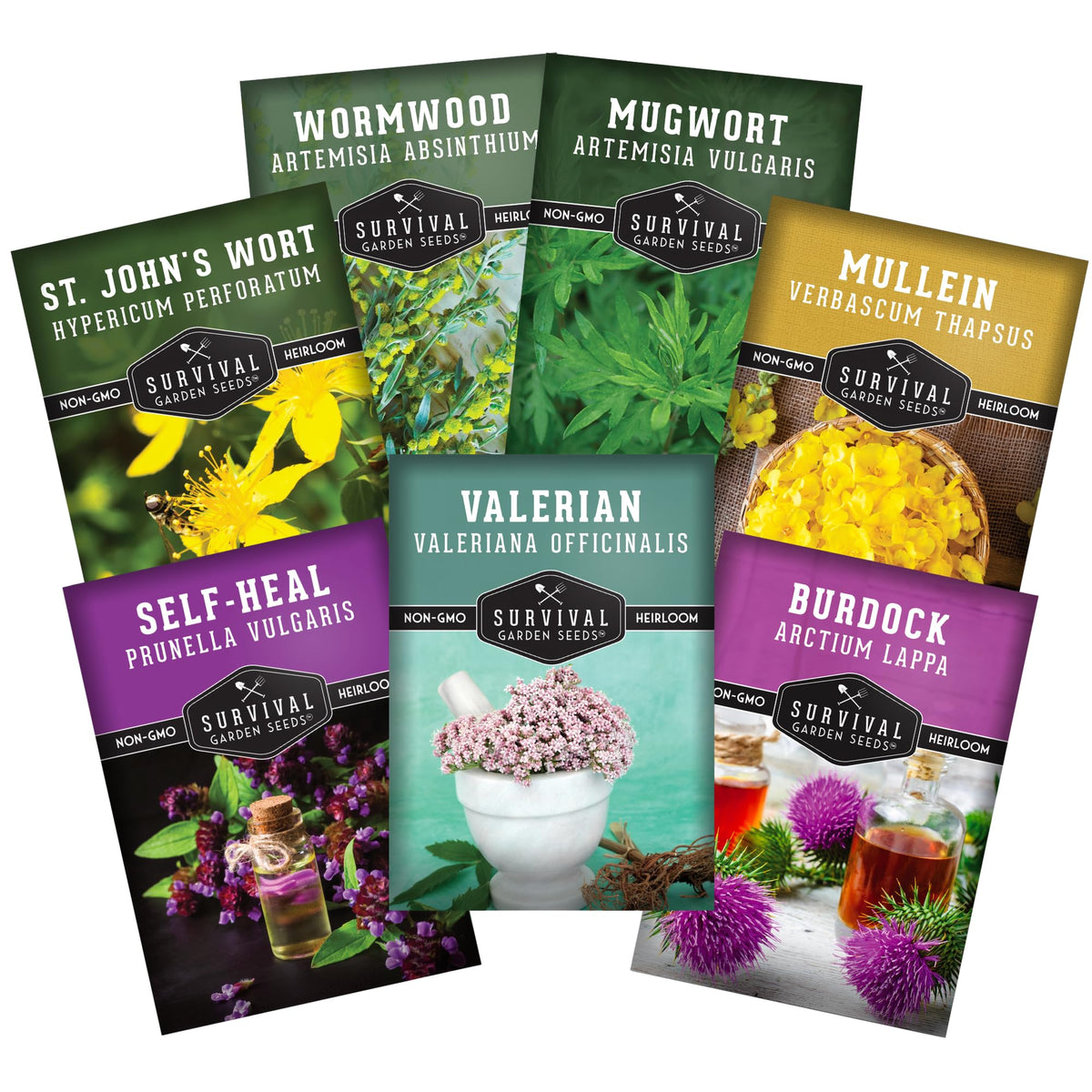 Survival Garden Seeds mullein seed bundle for robust herbal growth
