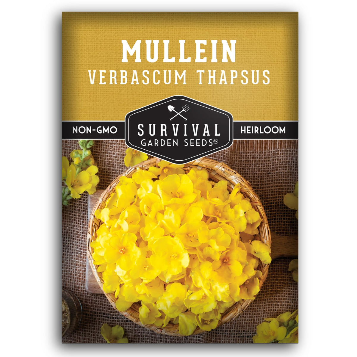 SURVIVAL GARDEN SEEDS mullein seeds for planting in sun, ideal for containers.