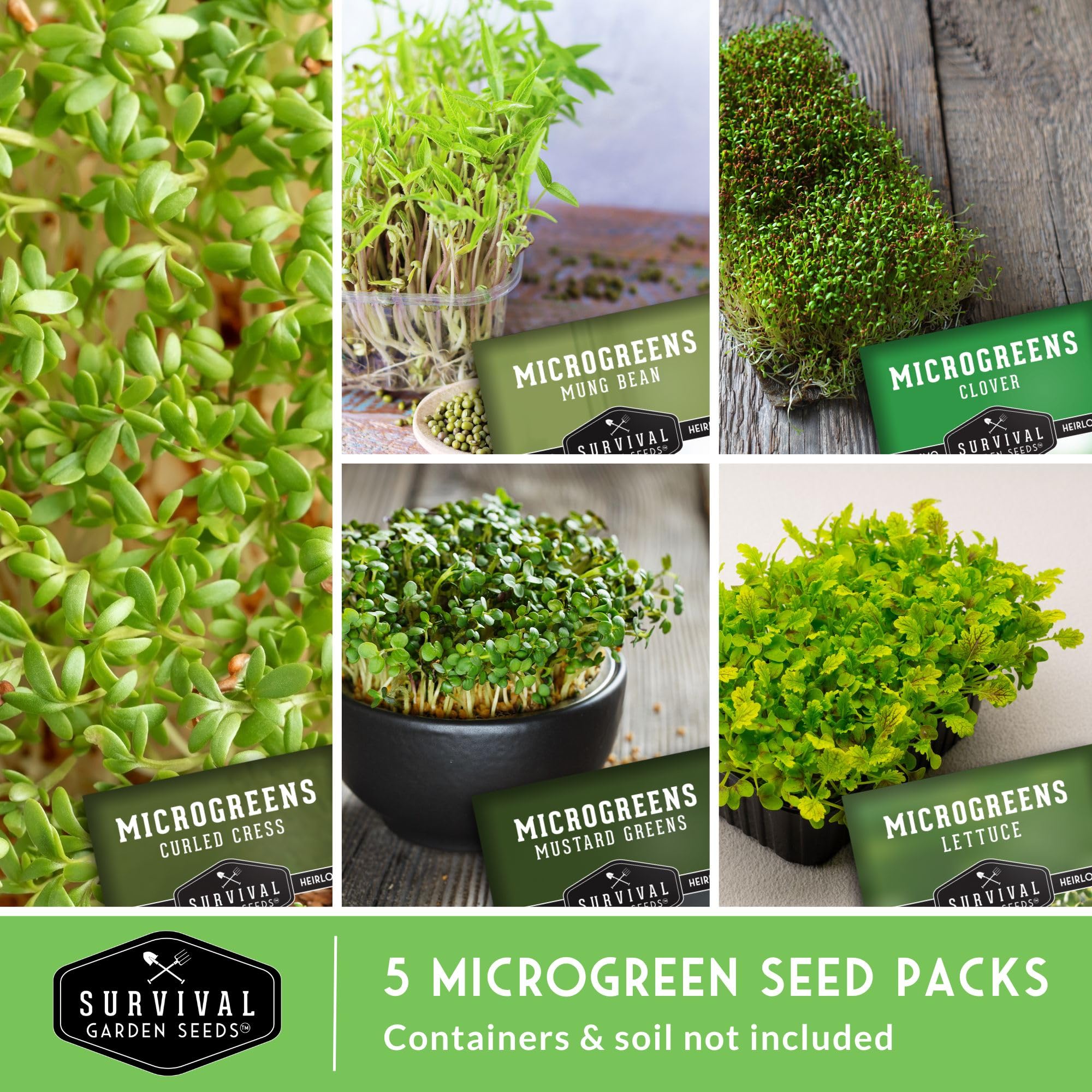 SURVIVAL GARDEN SEEDS mung bean microgreens seeds provide protein-rich sprouts at home.