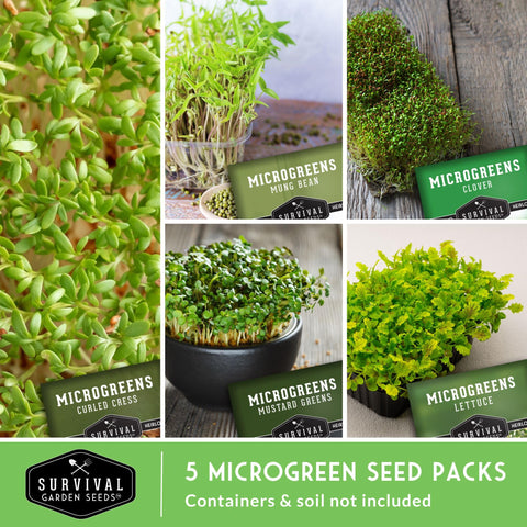 SURVIVAL GARDEN SEEDS mung bean microgreens seeds provide protein-rich sprouts at home.