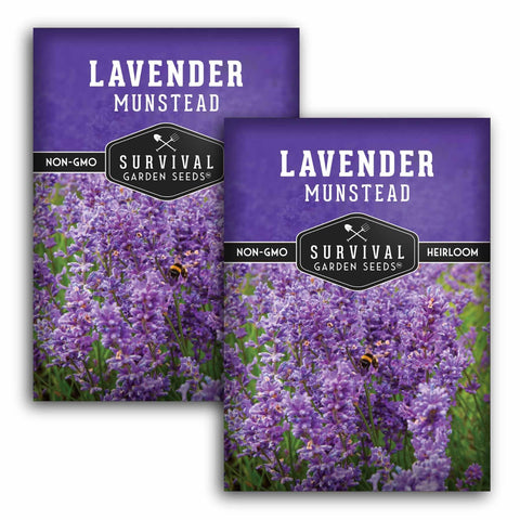 Survival Garden Seeds Munstead lavender seeds for compact container growing