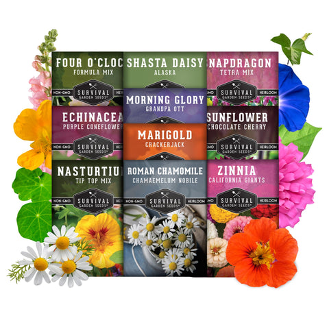 Survival Garden Seeds Nasturtium seeds offer edible blooms and bright foliage
