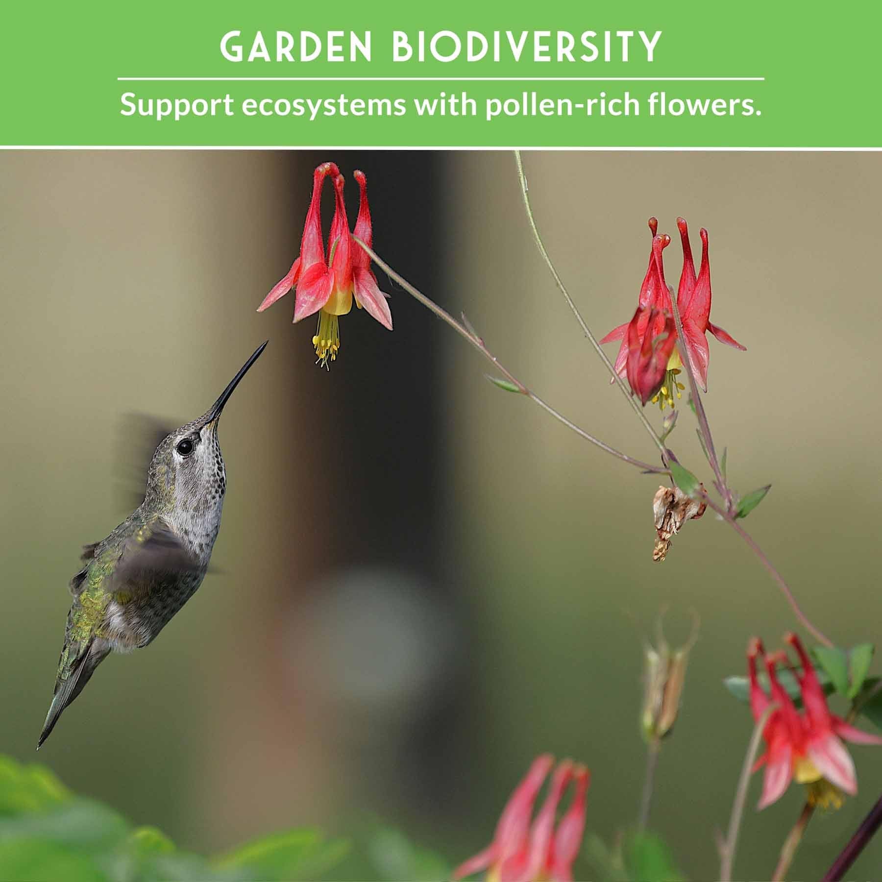 Survival Garden Seeds nectar and pollen rich plants feed pollinators.