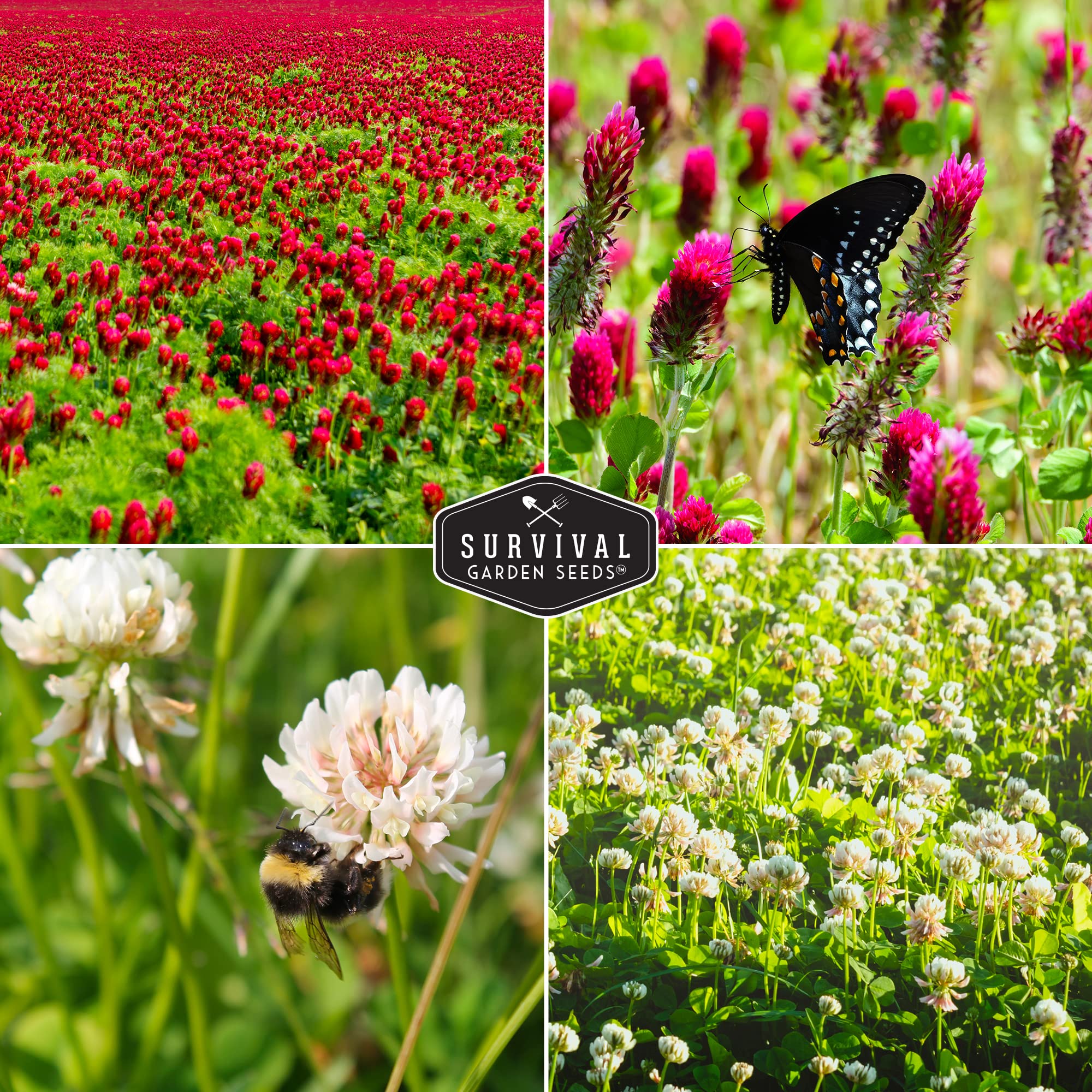 SURVIVAL GARDEN SEEDS Nitrogen-fixation helps soil naturally improve over time