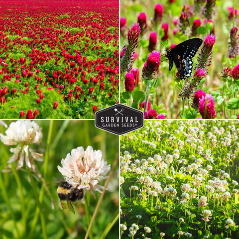SURVIVAL GARDEN SEEDS Nitrogen-fixation helps soil naturally improve over time