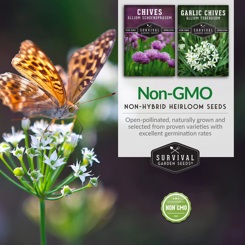 SURVIVAL GARDEN SEEDS non-GMO heirloom seeds trusted for flavorful chives