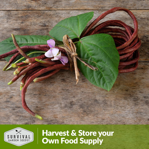 SURVIVAL GARDEN SEEDS non-hybrid heirloom seeds viewed with label and germination tips.